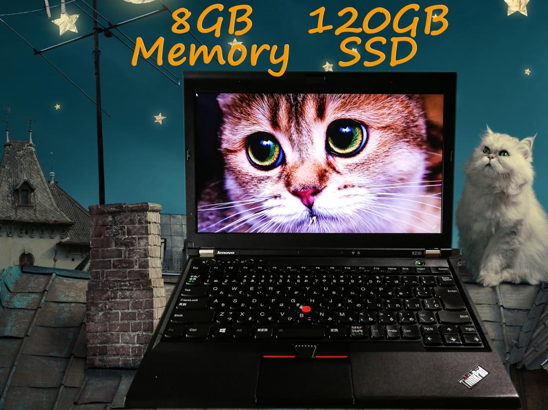 Lenovo ThinkPad X230 (新品SSD) i5  8GB SSD(120GB)  12.5(1366×768)  BatteryTime(7h53m)  Keyboard Light  Win10