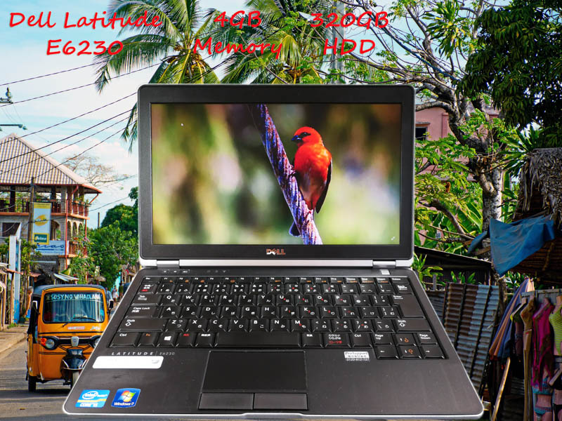 Dell Latitude E6230 i5 4GB HDD(320GB)  12.5(1366×768)  BatteryTime(6h27m) Win10 オプション(オフィス 2010)