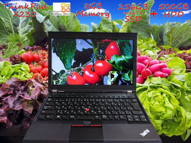 Lenovo ThinkPad X230 i5 8GB SSD(新品mSATA 256GB)+HDD(500GB) 画面(HD 12.5  1366×768) バッテリ(4h30m) キーボード(新品)カメラ Bluetooth  Win10 Office 2013