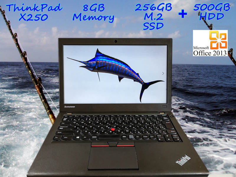 Lenovo ThinkPad X250 i5 8GB  SSD(新品M.2 256GB)+HDD(500GB) 画面(12.5 1366×768) バッテリ(2基搭載 5h54m) カメラ Bluetooth  Win10 Office 2013
