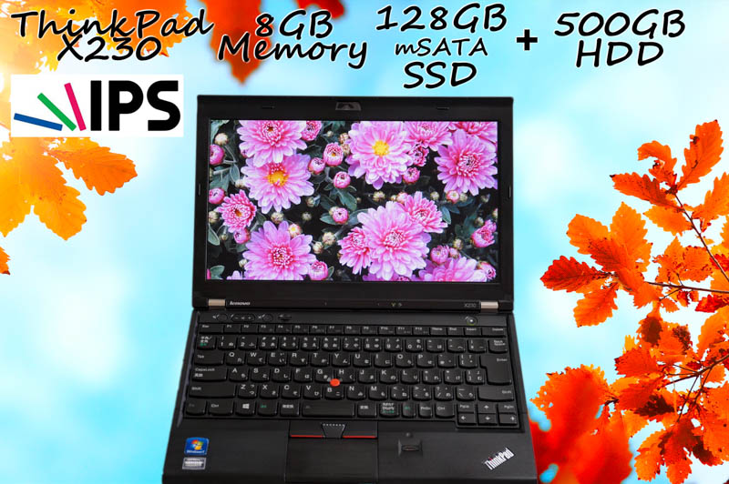 Lenovo ThinkPad X230 i5 8GB SSD(mSATA 128GB)+HDD(500GB) 画面(IPS HD 12.5  1366×768) バッテリ(6h14m) Bluetooth 指紋 新品キーボード  Win10