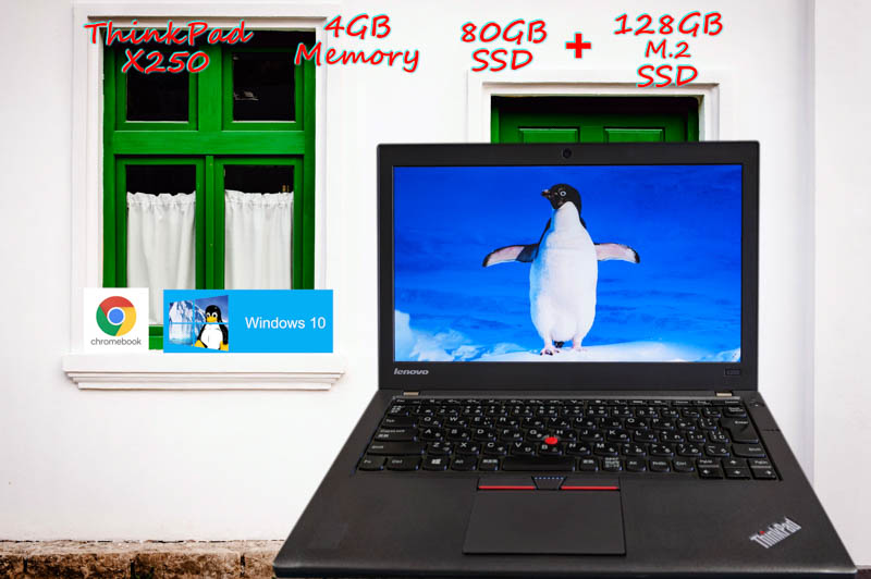 Lenovo ThinkPad X250 i3 4GB  SSD(Win10 新品M.2  128GB)+SSD(ChromeOS 80GB) 画面(12.5 1366×768) バッテリ(2基搭載  6h43m) カメラ Bluetooth Win10 CloudReady