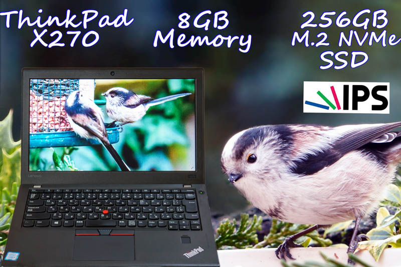 Lenovo ThinkPad X270 i5 8GB  SSD(NVMe 256GB) 画面(HD IPS 12.5) バッテリ(2基 12h44m) Bluetooth カメラ 指紋 Win10