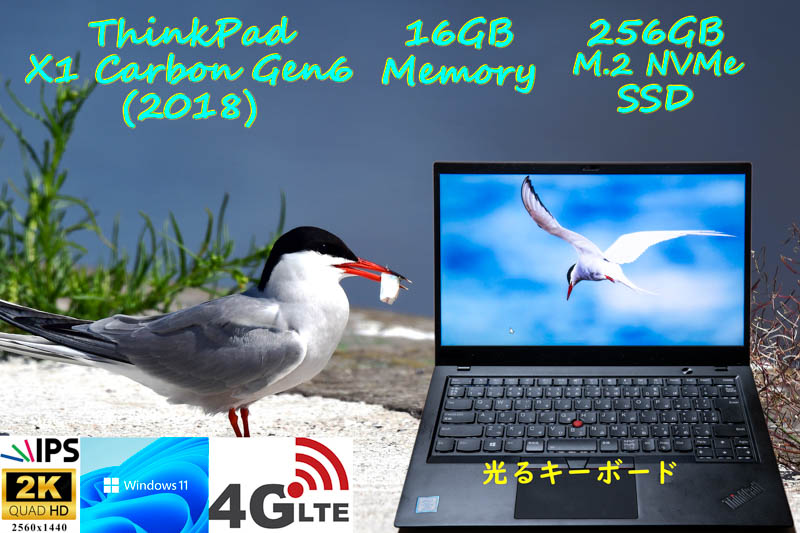 ThinkPad X1 Carbon Gen6 2018 i5-8350U 16GB, 2K WQHD IPS, 超高速256GB SSD, Sim Free LTE 未使用光るKB, カメラ Bluetooth 指紋, Win11