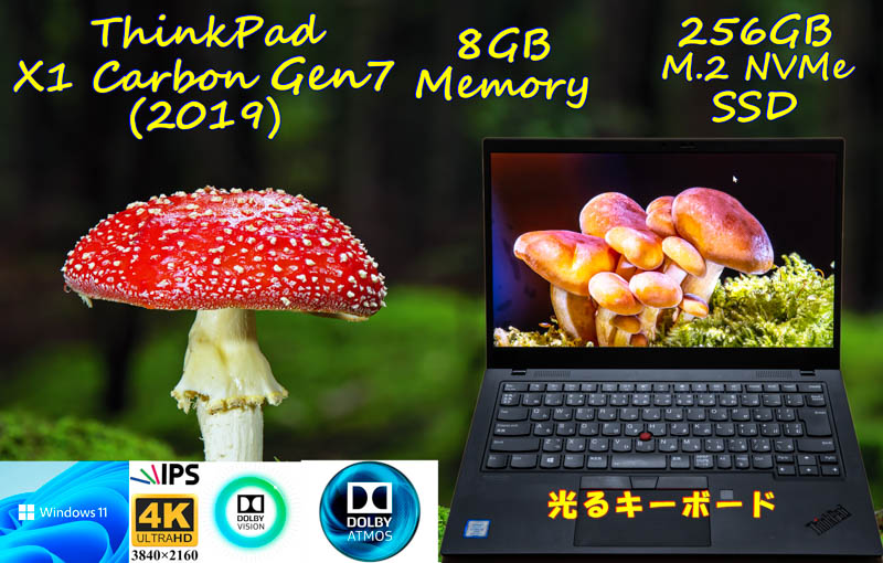 ThinkPad X1 Carbon Gen7 2019 i5-8365U 8GB, 超高速 256GB SSD, 新品 UHD 4K IPS 3840×2160 Dolby Vision, カメラ Bluetooth 指紋, Win11