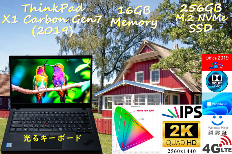 ThinkPad X1 Carbon Gen7 2019 i5-8365U 16GB,256GB SSD,新品 2K WQHD AdobeRGB100%,Sim Free LTE,IRカメラ 顔 指紋,Bluetooth,Office2019