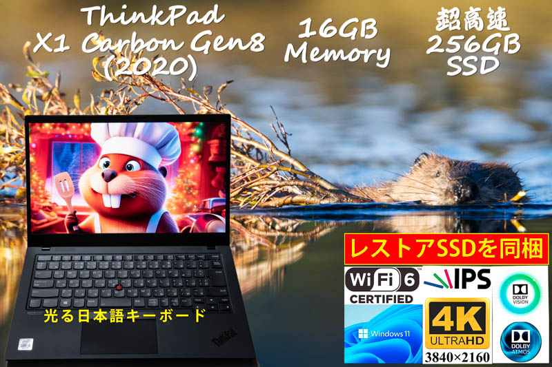 ThinkPad X1 Carbon Gen8 2020 i5-10210U 16GB, 超高速256GB SSD, 新品4K UHD IPS Dolby Vision, 指紋 カメラ Bluetooth, Win11/10