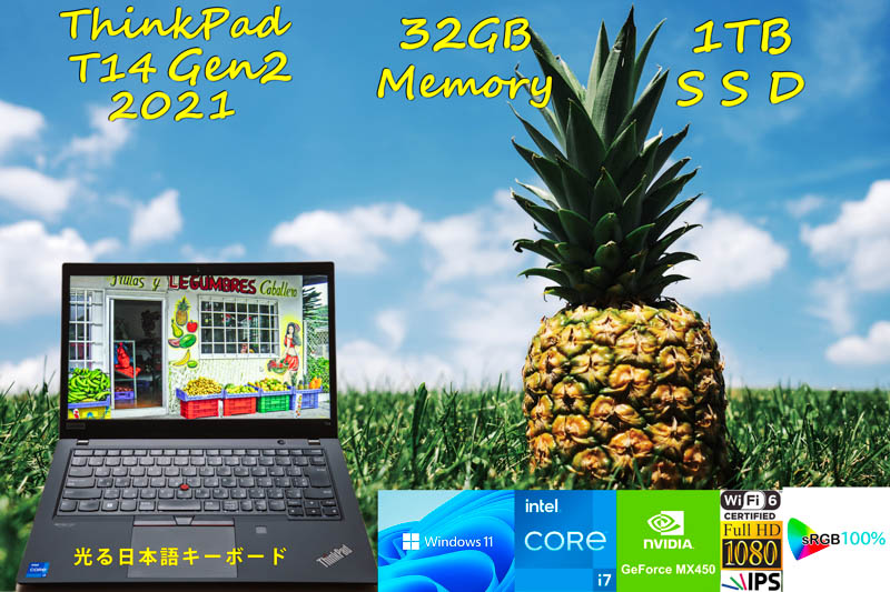 ThinkPad T14 Gen2 2021 i7-1165G7 32GB, 1TB SSD, sRGB 100% fHD IPS NVIDIA GeForce MX450, WiFi 6 有線Lan, カメラ 指紋 BT, Win11/10