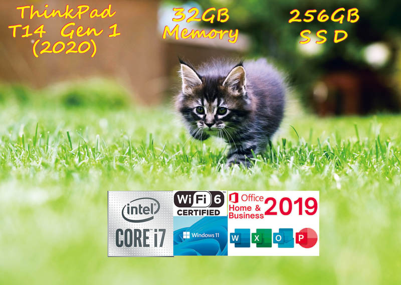 PC-8001スタイル ThinkPad T14s Gen1 i7-10610U 32GB 256GB SSD,  指紋 Bluetooth, Office2019 Windows11