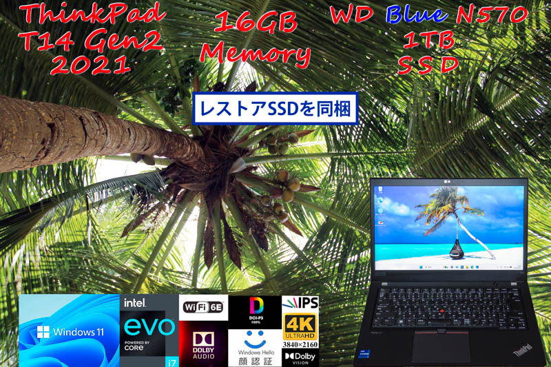 ThinkPad T14 Gen2 2021 i7-1185G7 16GB, WD SN570 1TB, 4K UHD 非光沢, WiFi6E, Dolby Vison & Audio IR カメラ 顔 Bluetooth, Win11