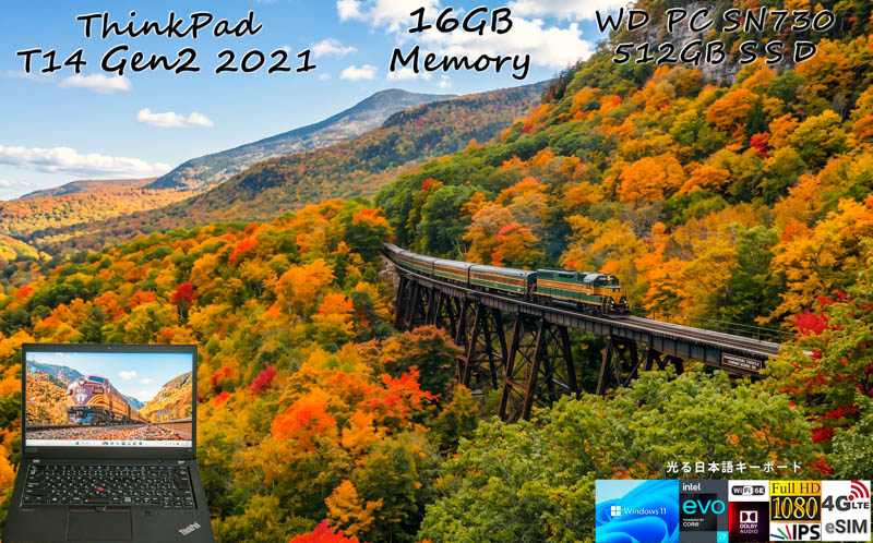 ThinkPad T14 Gen2 2021 i7-1185G7 16GB, WD PC SN730 512GB,明るい画面, eSIM+SimFree LTE WiFi6E, 指紋 カメラ BT, 光る日本語KB, Win11